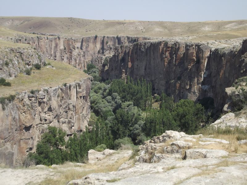Ihlara Vadisi'nin dik kaya duvarları ve tabanındaki yeşil vadi.