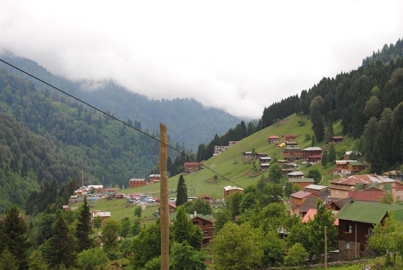 Ayder Yaylası'nın orman ve dağlarla çevrili yeşil yamaçları.
