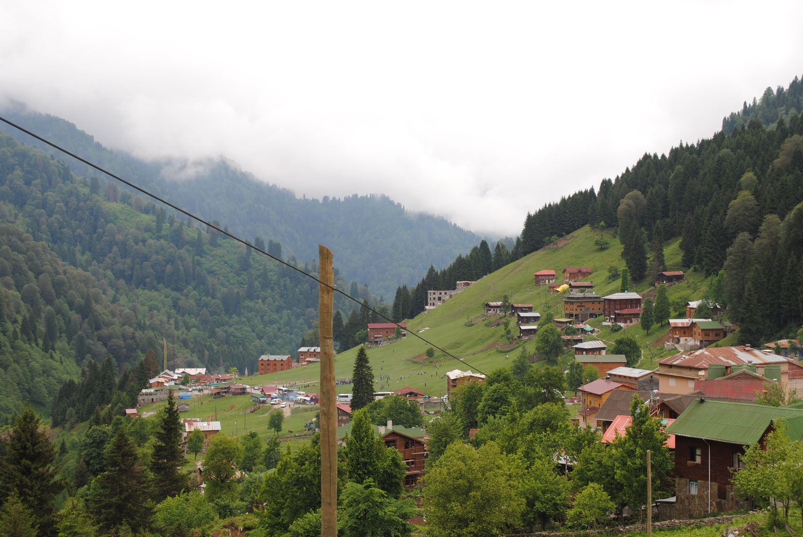 Ayder Yaylası'nın orman ve dağlarla çevrili yeşil yamaçları.
